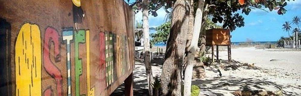 Hostel America Do Sul ジジョーカ・デ・ジェリコアコアラ エクステリア 写真